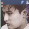别怕我伤心歌词 - 张信哲