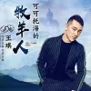 可可托海的牧羊人歌词 - 王琪