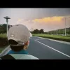给你呀（又名：for ya） 歌词 - 蒋小呢