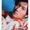 想得到得不到 - 谢霆锋 (Nicholas Tse)