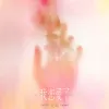 我恋爱了·2023歌词 - 火鸡 我喜欢你开始脸红了