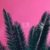 足够 歌词 - 周星星