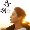 告别 歌词 - 花姐