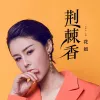荆棘香 歌词 - 花姐  (Remix)