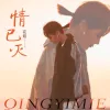 情已灭 歌词 - 花姐