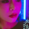 夜之光 歌词 - 花姐