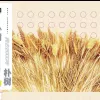 那些花儿 歌词 - 朴树 电影《那时花开》片尾曲