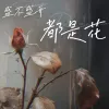 光盛开不盛开都是花歌词 - 何雅楠