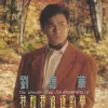 我和我追逐的梦歌词 - 刘德华 电影《庙街十二少》国语主题曲