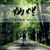 灿烂 歌词 - 许巍