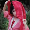 长安忆 歌词 - 一颗狼星_许篮心