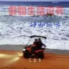 假如生活没有诗和远方歌词 - 王富贵