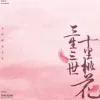 三生三世歌词 - 张杰