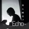 怎么能忘了 歌词 - 程响  (不插电版)
