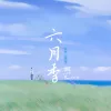 六月季歌词 - 阿冗
