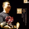 野草 歌词 - 崔浩然