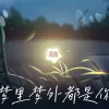 梦里梦外都是你 歌词 - 泽阳