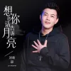  想你的话告诉月亮 歌词 - 刘晓超
