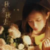 秋来秋去 歌词 - 王晴