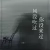  风没吹过你没来过 歌词 - 洋澜一