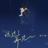 说过了再见 歌词 - 赵乃吉