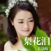 梨花泪 歌词 - 袁洁琼
