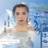 动了情却伤了心 歌词 - 张怡诺