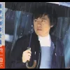 给你们 歌词 - 张宇