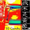 我不是黄蓉 歌词 - 王蓉