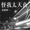 怪我太天真 歌词 - 苏谭谭