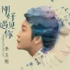 刚好遇见你 歌词 - 李玉刚
