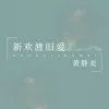 新欢渡旧爱 歌词 - 黄静美