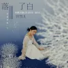 落了白 歌词 - 蒋雪儿