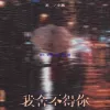 我舍不得你 歌词 - 黄静美