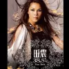 尽在不言中 歌词 - 田震