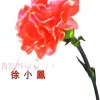 何日君再来 歌词 - 徐小凤/邓丽君