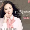 勿忘你 歌词 - 龙梅子 / 高安