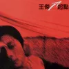 多少柔情多少泪 歌词 - 王杰