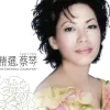 恰似你的温柔 歌词 - 蔡琴
