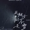 我期待的不是雪 