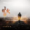 飞蛾扑火