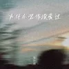 为什么装作没爱过 歌词 - 张妙格