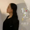 半辈子 歌词 - 小玟子