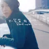 我等你 歌词 - 刘若英 电视剧《广东十虎》片尾曲