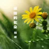 倔强的花朵