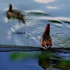 涟漪