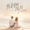 我喜欢的不是风