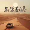 别浪费月亮