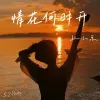 情花何时开