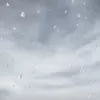 还是会想你